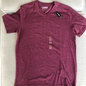 Express Slim Stretch V-Neck T-Shirt NWT